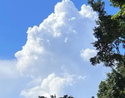 台南天气预报,台南7天天气预报,台南15天天气预报,台南天气查询